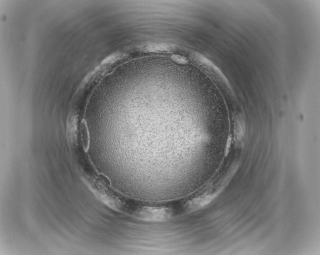 X0000087570260200705112220