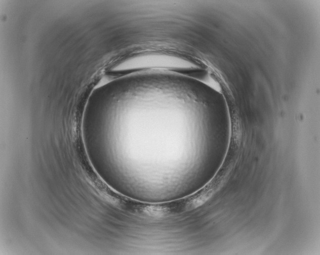 X0000087570261200705112220