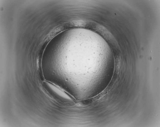 X0000087570262200705112220