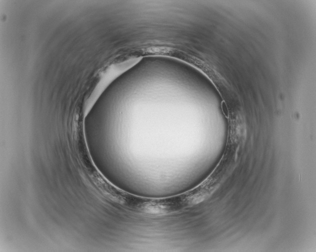 X0000087570263200705112220