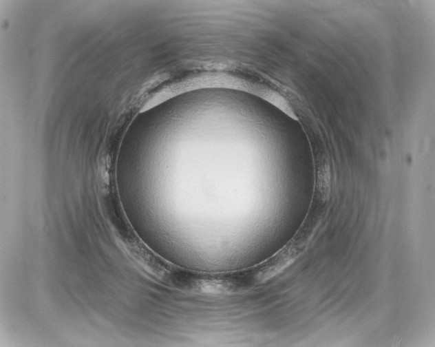 X0000087570264200705112220