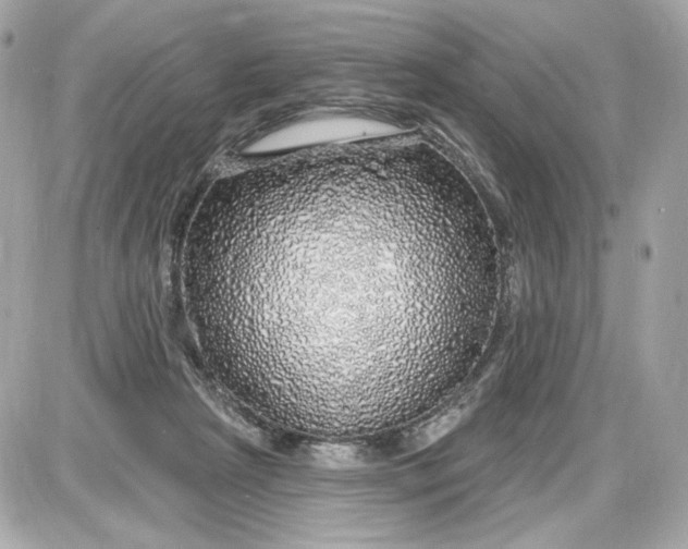 X0000087570265200705112220