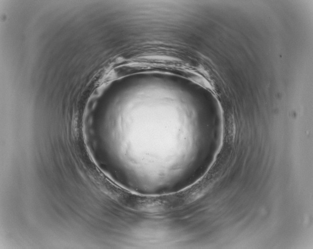 X0000087570267200705112220