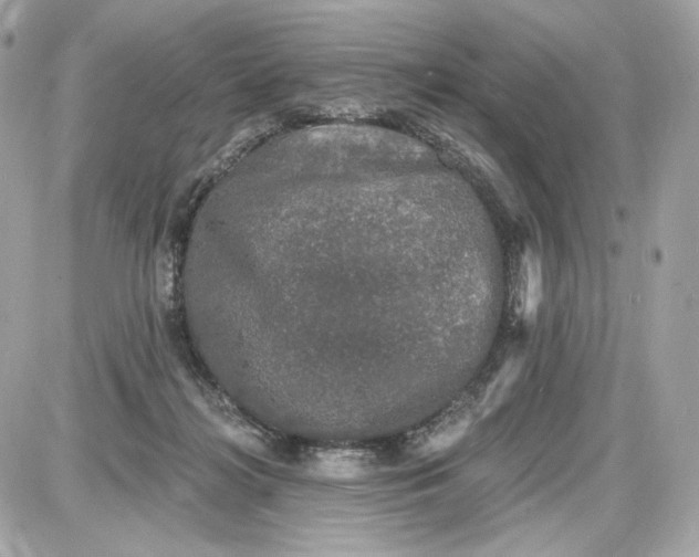 X0000087570268200705112220