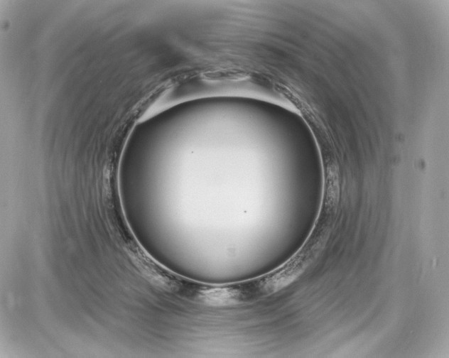 X0000087570269200705112220