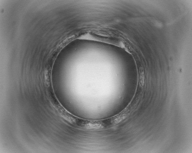 X0000087570270200705112220