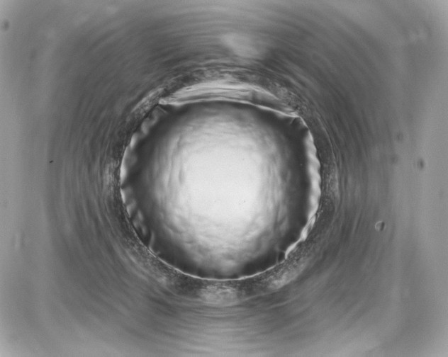 X0000087570271200705112220