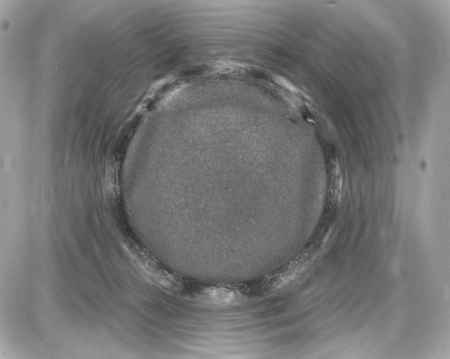 X0000087570272200705112220