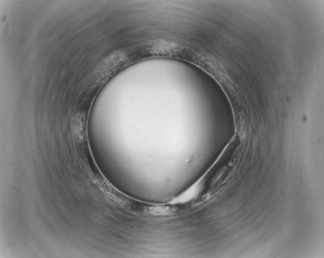 X0000087570273200705112220