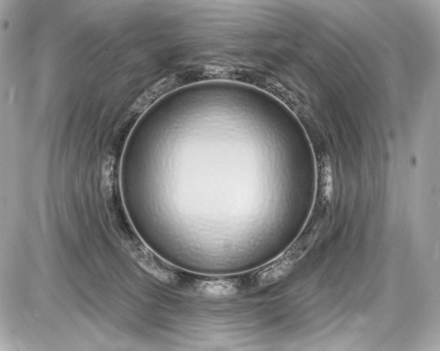 X0000087570275200705112220