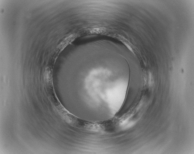 X0000087570276200705112220