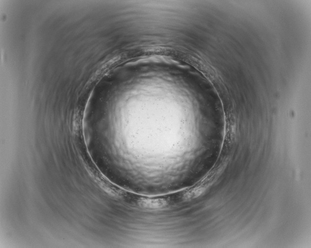 X0000087570277200705112220