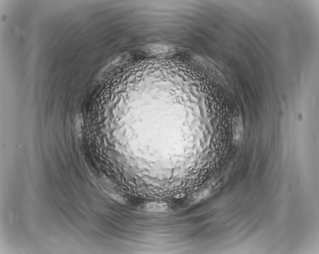 X0000087570279200705112220