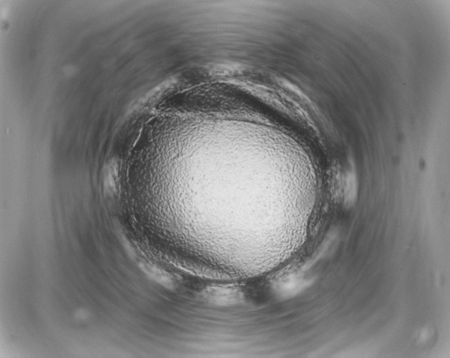 X0000087570280200705112220