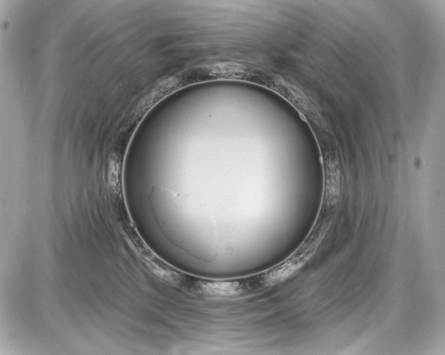 X0000087570281200705112220