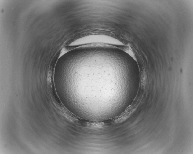 X0000087570282200705112220