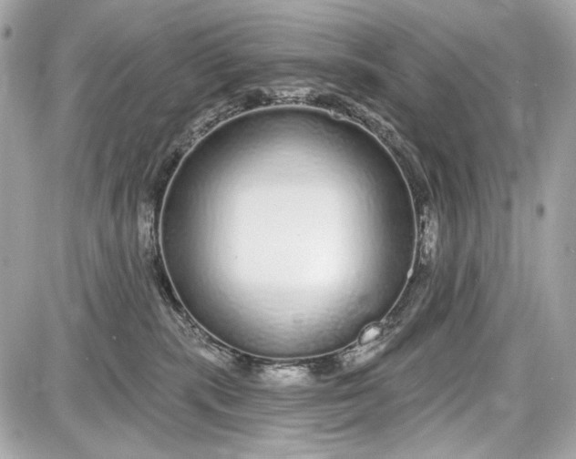 X0000087570283200705112220