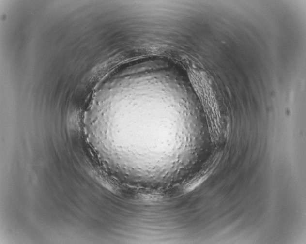 X0000087570286200705112220