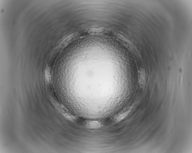 X0000087570287200705112220