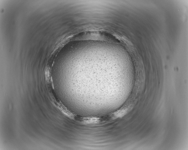 X0000087570288200705112220