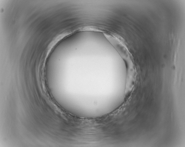 X0000087570289200705112219