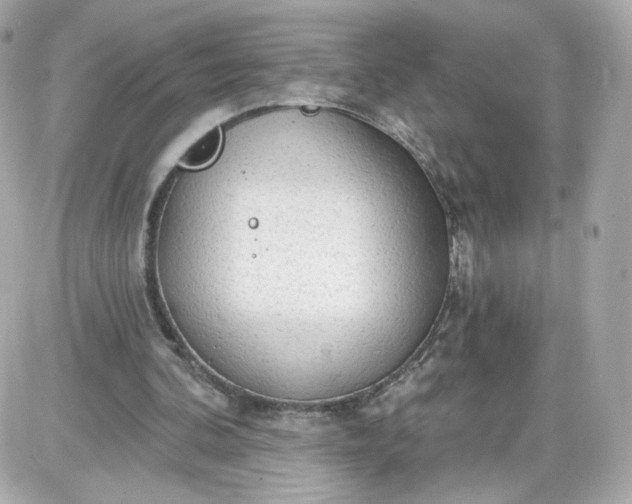 X0000087570292200705112219