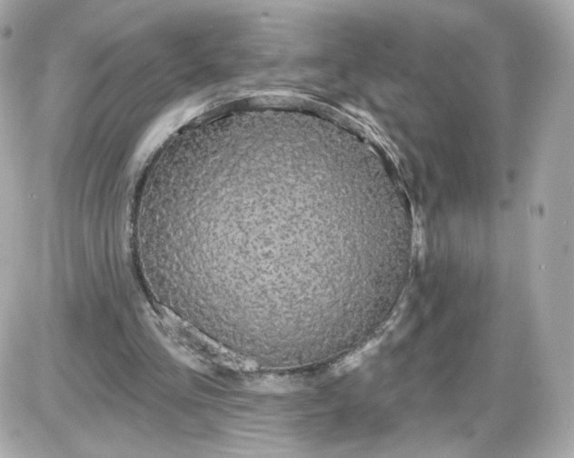 X0000087570293200705112219