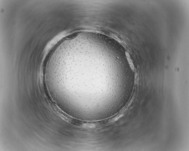 X0000087570294200705112219