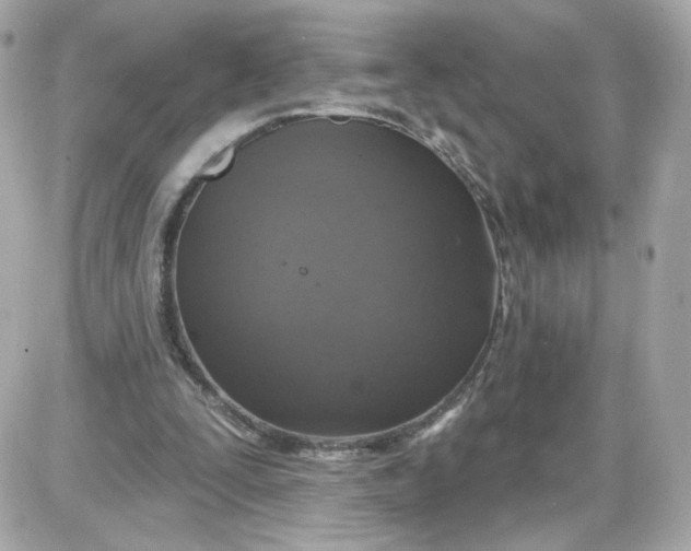 X0000087570295200705112219