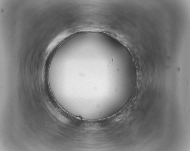 X0000087570296200705112219