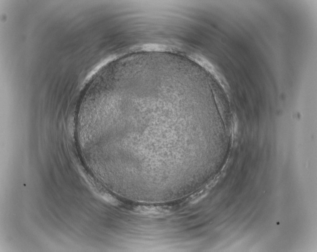 X0000087570297200705112219