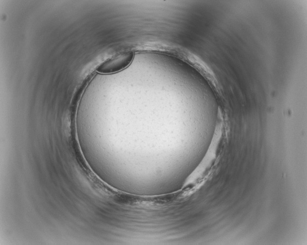 X0000087570298200705112219