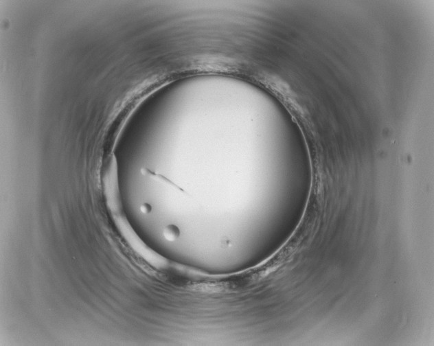 X0000087570299200705112219