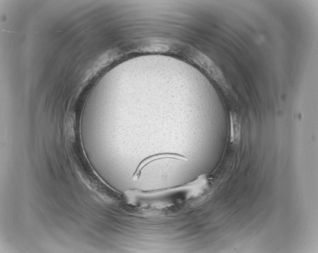 X0000087570300200705112219