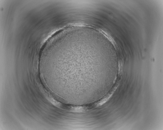 X0000087570301200705112219