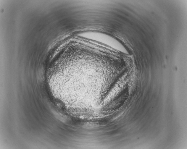 X0000087570303200705112219