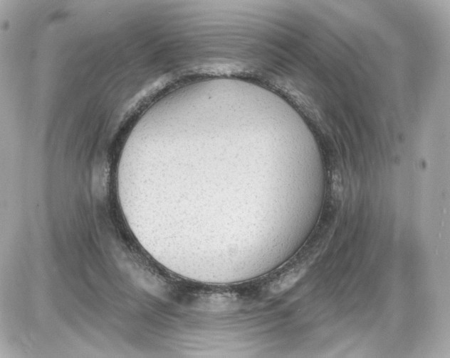 X0000087570304200705112219