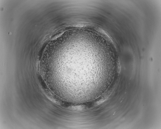 X0000087570307200705112219