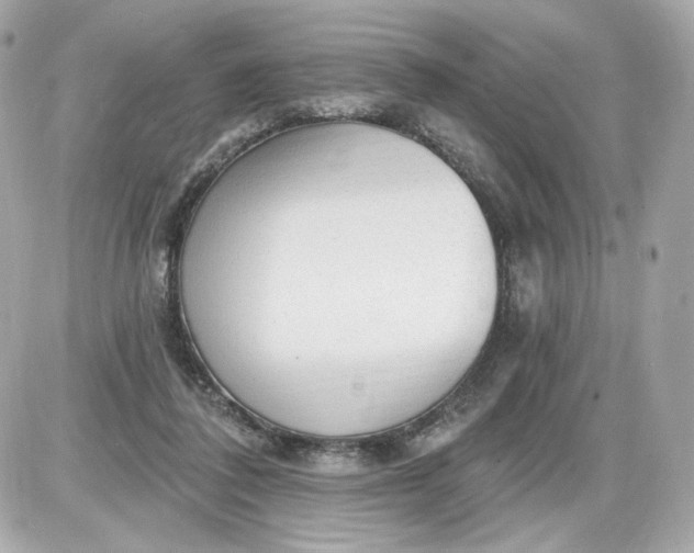 X0000087570308200705112219