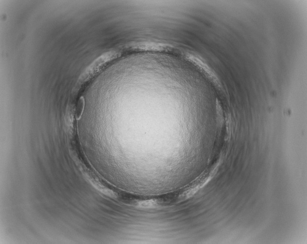 X0000087570309200705112219