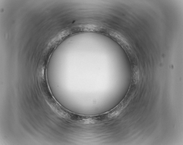 X0000087570310200705112219