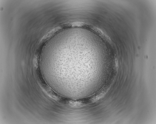 X0000087570311200705112219