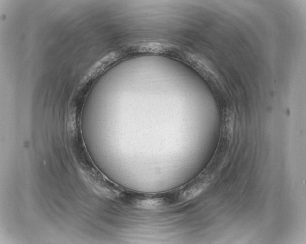 X0000087570312200705112219