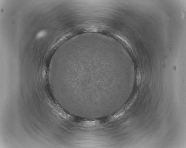 X0000087570314200705112219