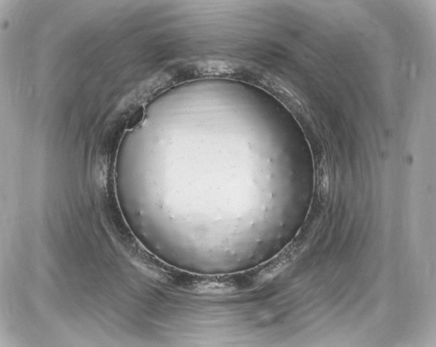 X0000087570315200705112219