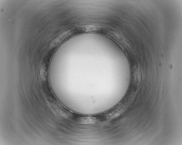 X0000087570316200705112219