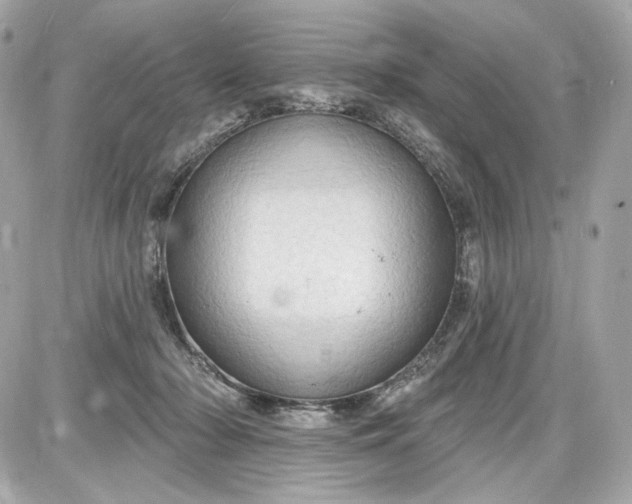 X0000087570318200705112219