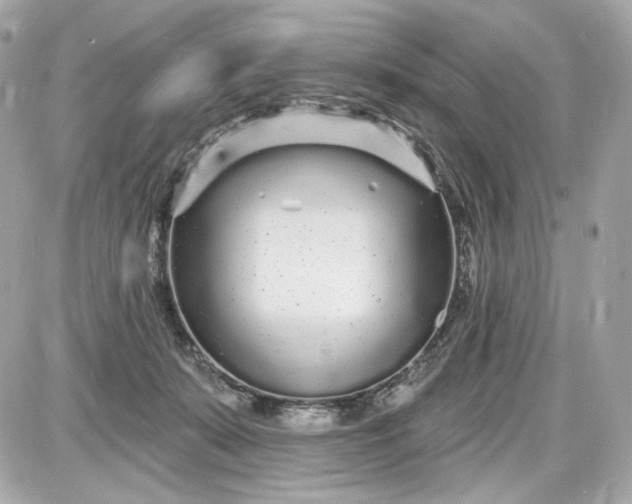 X0000087570319200705112219