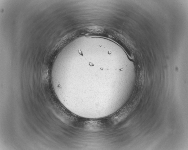 X0000087570320200705112219