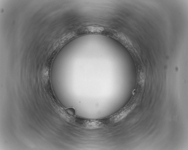 X0000087570321200705112219